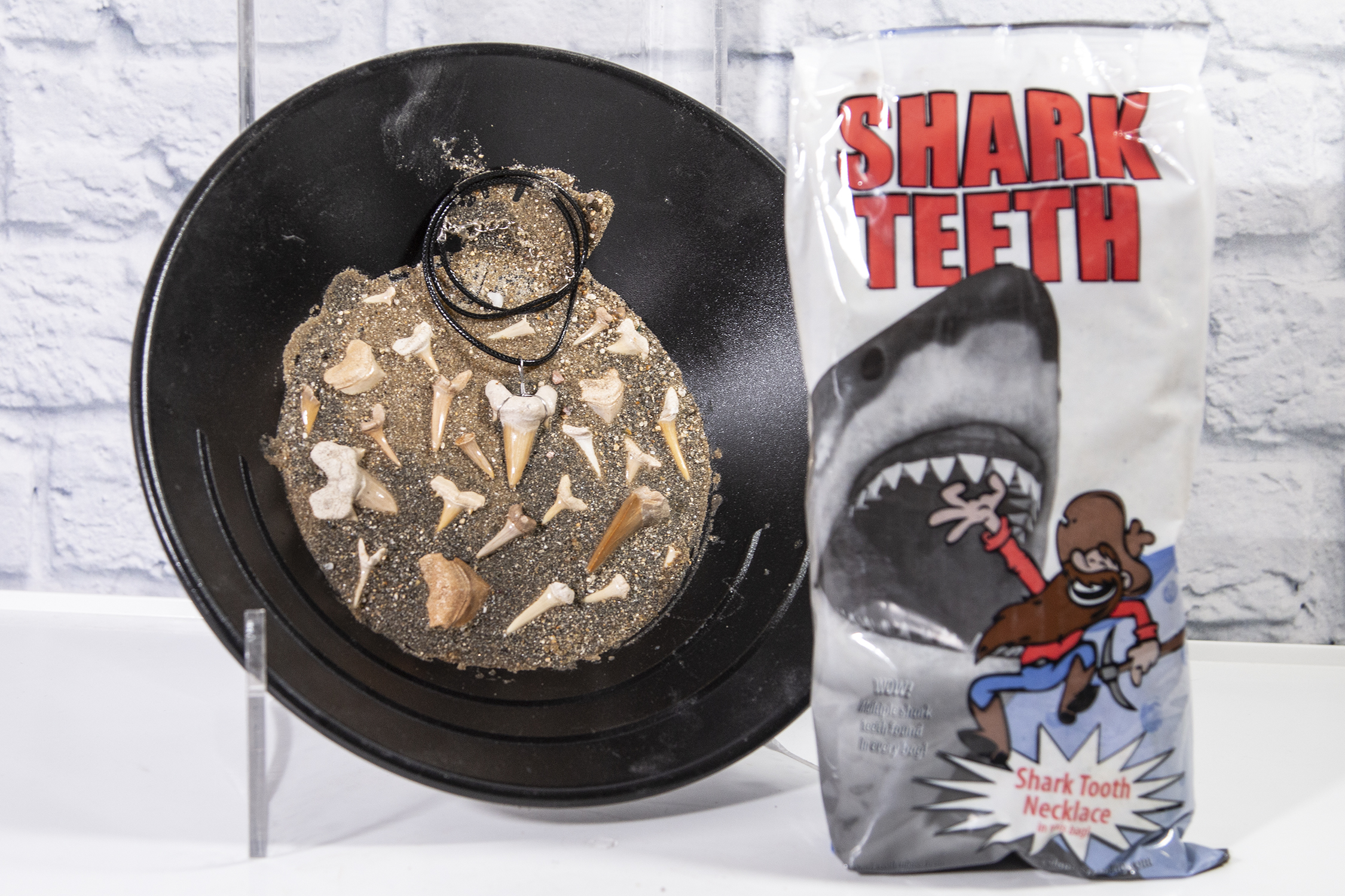 Large Shark Tooth Bag