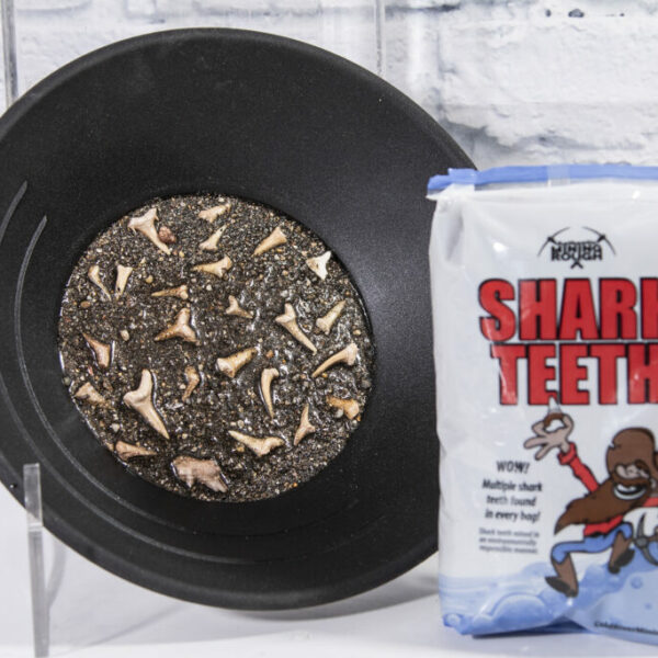 Small Shark Tooth Bag