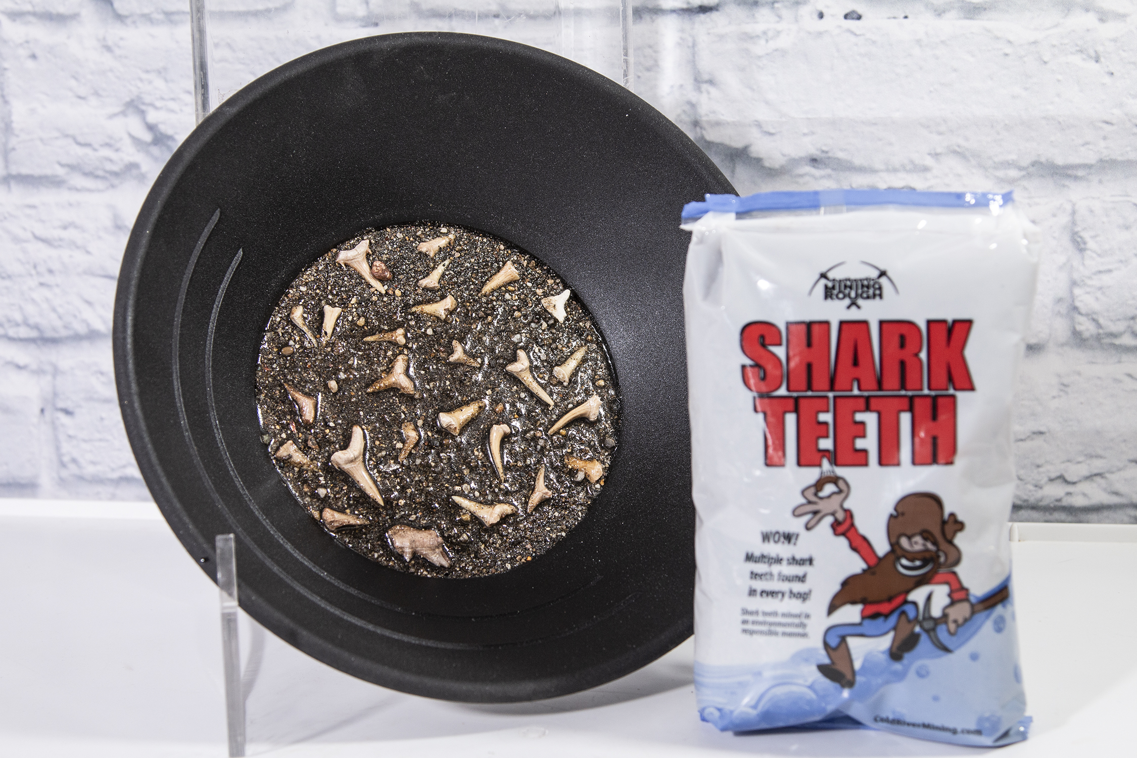Small Shark Tooth Bag