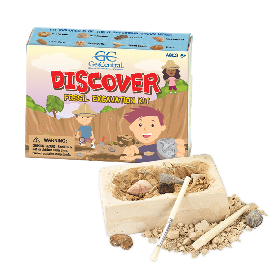 Dig Your Own Minerals Kit Dig Your Own Fossils Kit Lockdown Kids Nature 