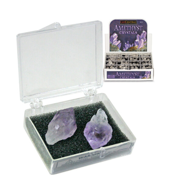 Two amethyst points in a small box