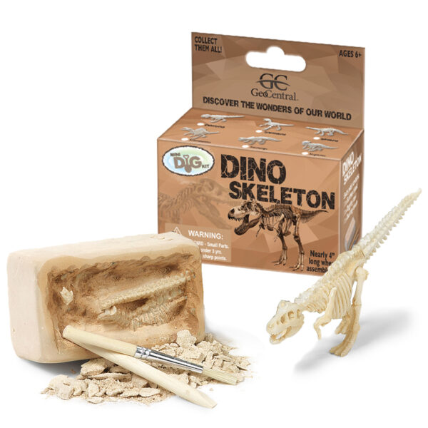 Mini Dinosaur Skeleton and Dino Skeleton Mini Excavation Kit