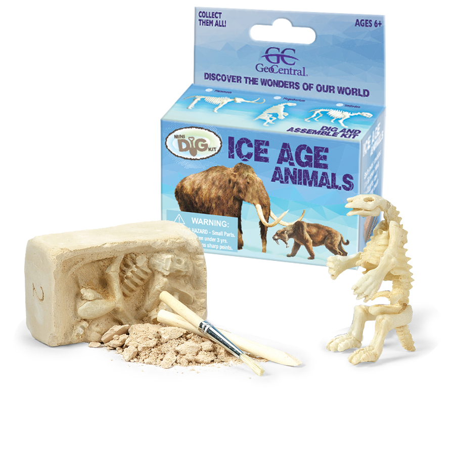 Ice Age Dig Kit, block and tools