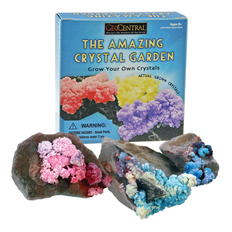 Crystal growing kit and rock crystal garden