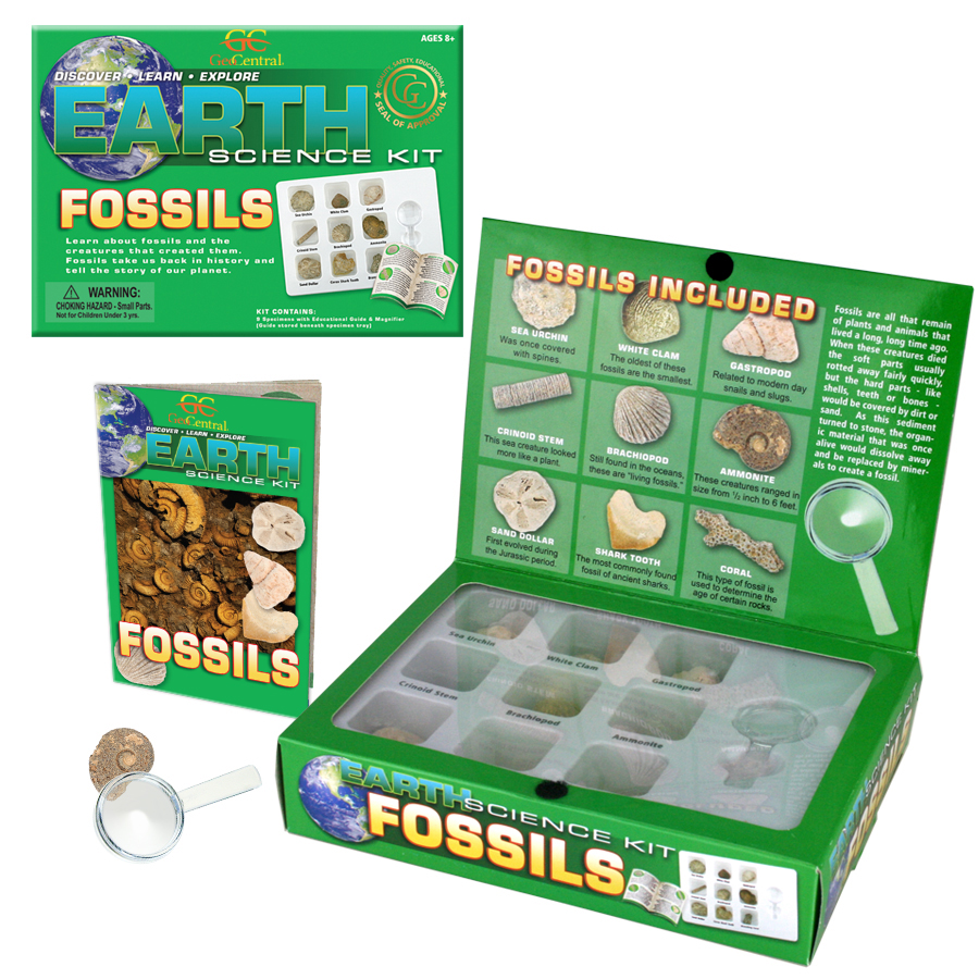 Fossils Earth Science kit, magnifier and Guide