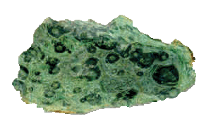 Crocodile Jasper