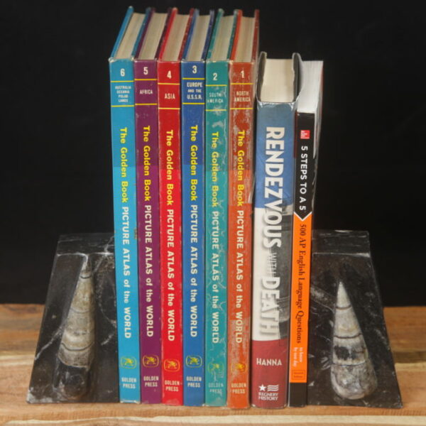 Orthoceres Book Ends