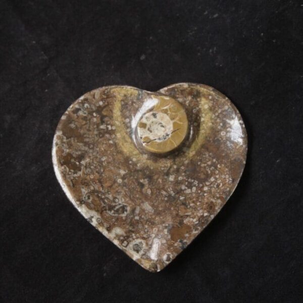 Ammonite Heart Tray