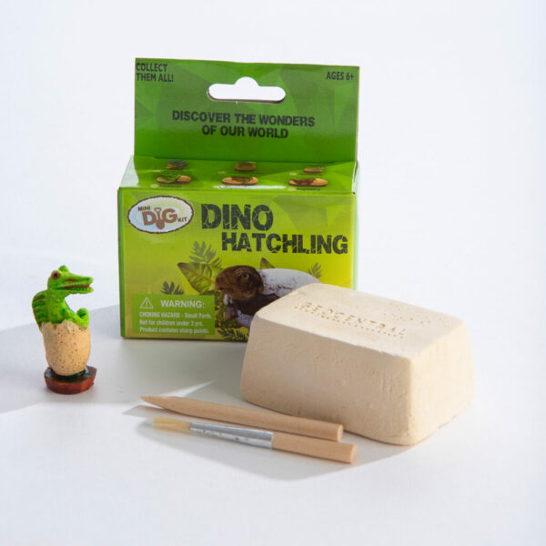 Dino Hatchlings Mini Excavation Kit Display Box