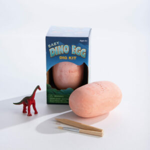 Excavation Kit: Dinosaur Egg with Figurine