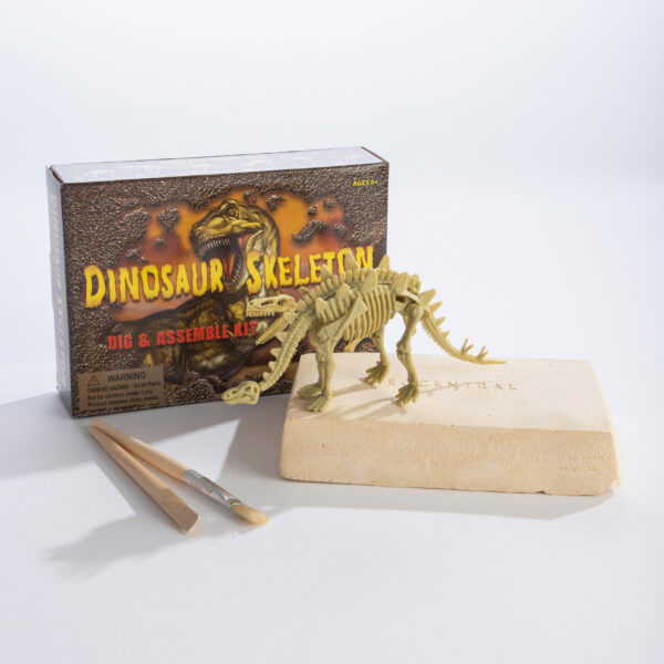 Dinosaur Skeleton Excavation Kit Display Box