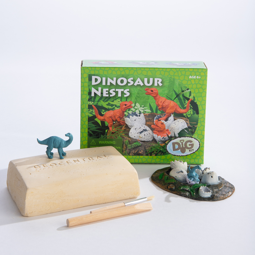 Excavation Kit Dinosaur Nest