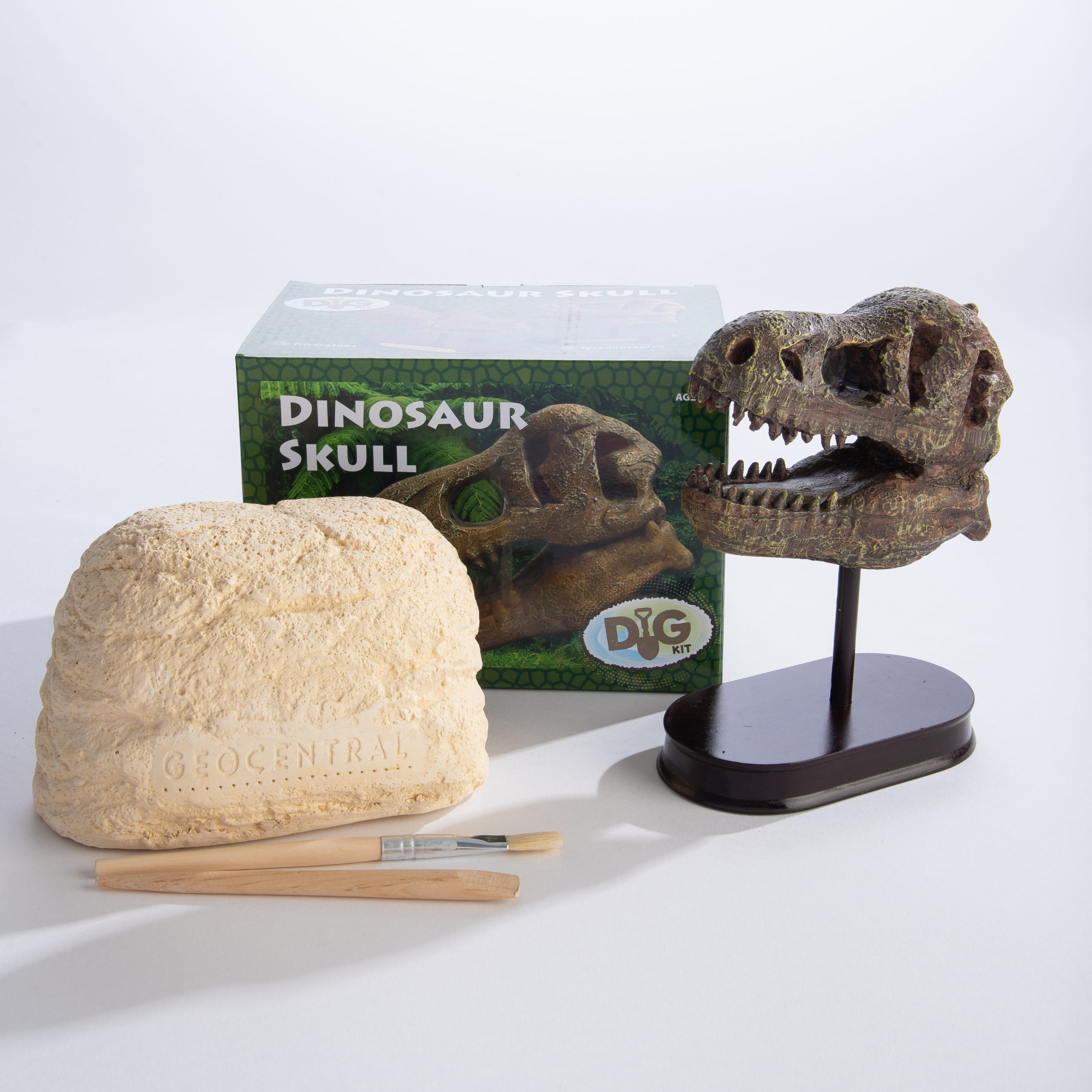 Excavation Kit Dinosaur Skull