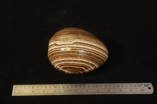 Aragonite egg Large with ruler