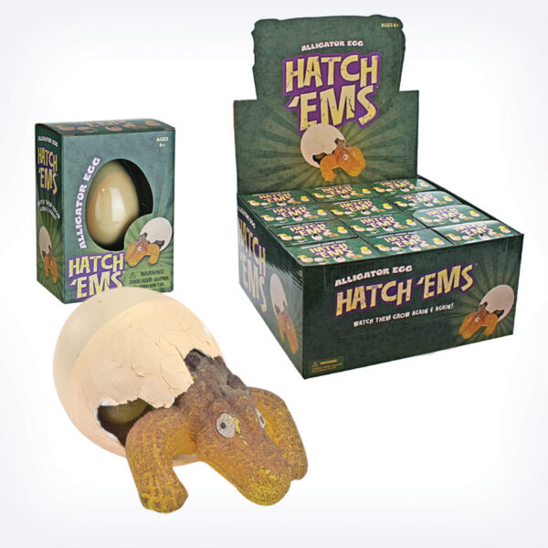 Alligator Hatch'ems Toy with Display boxes set