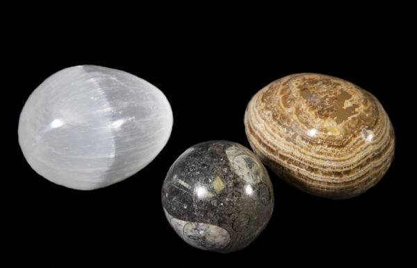 3 Pack Selenite, Aragonite, and Orthoceras eggs view from side