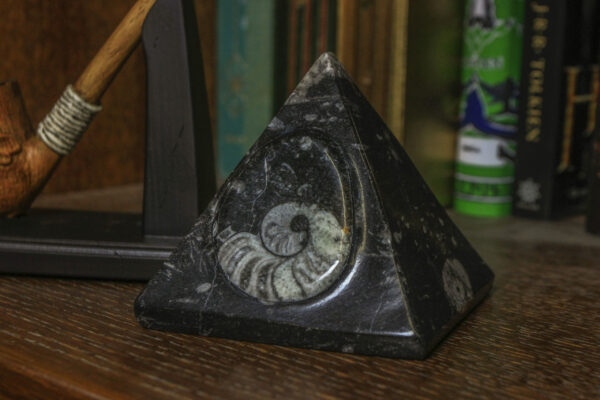 Black Orthoceras Pyramid with Ammonite fossil view from the side