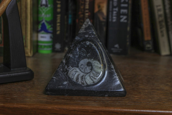 Black Orthoceras Pyramid with Ammonite fossil view from the front
