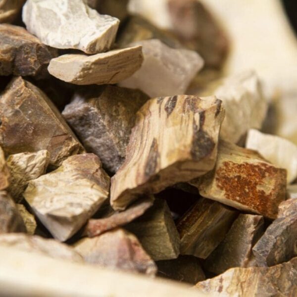 Petrified Wood Rough Pieces 1lb