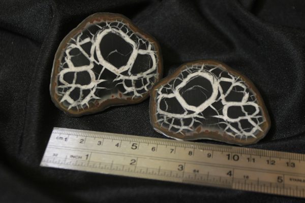 Pair of Dragon Stone Septarian Nodules with ruler for size comparison