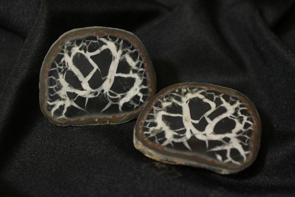 Pair of Dragon Stone Septarian Nodules front view