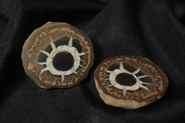 Pair of Round Dragon Stone Septarian Nodules front view
