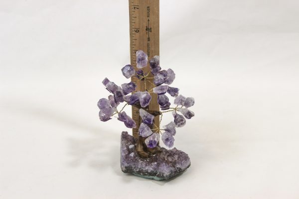 Small Amethyst Crystal Point Trees with ruler for size comparison