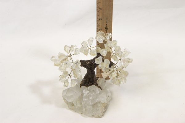 Medium Crystal Point Gem Trees with ruler for size comparison