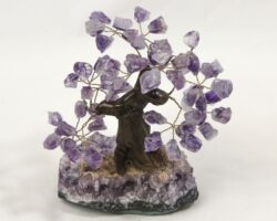 Medium Amethyst Crystal Point Trees front view