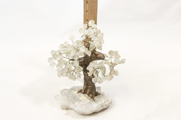 Large Crystal Point Gem Trees with ruler for size comparison