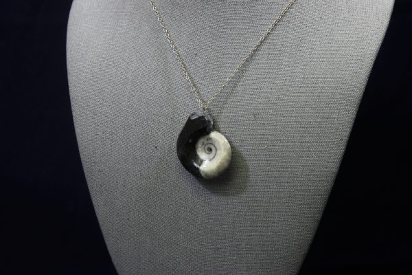 Black Ammonite Fossil Pendant with Loop front view