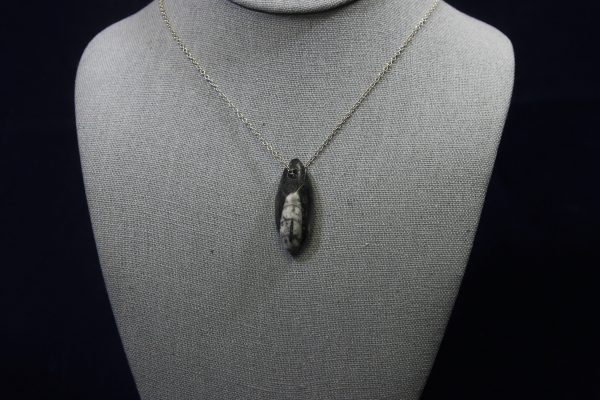Orthoceras Fossil Pendant view from front