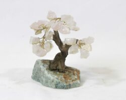 Small Rose Quartz Crystal Gemstone Tree with an Aventurine Base