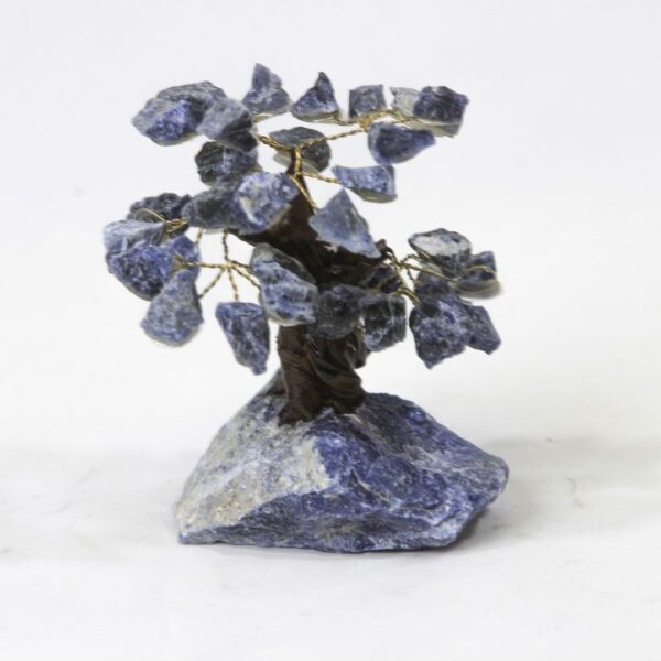 Sodalite Crystal Gemstone Tree Small