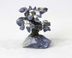 Small Sodalite Crystal Gemstone Tree with Sodalite Base