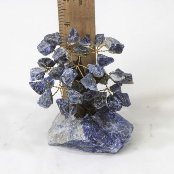 Sodalite Crystal Gemstone Tree Small