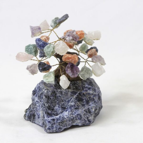 Mixed Crystal Points Gemstone Tree with Sodalite Base