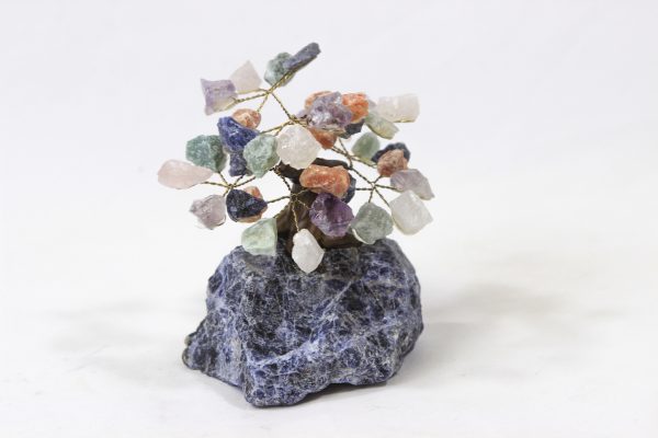 Mixed Crystal Points Gemstone Tree with Sodalite Base