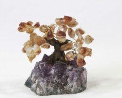 Small Citrine Crystal Point Tree
