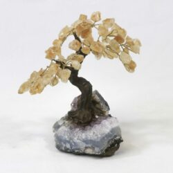 Medium Citrine Crystal Points Gemstone Tree