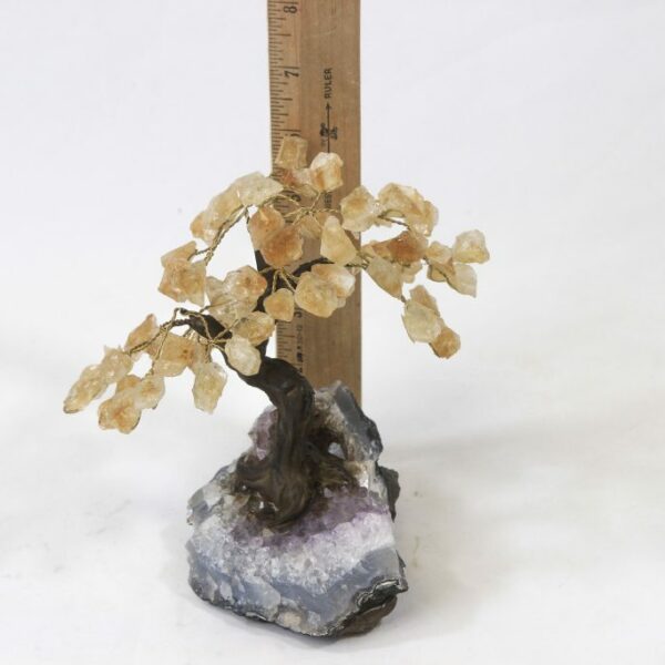 Medium Citrine Gemstone Tree with Amethyst Base