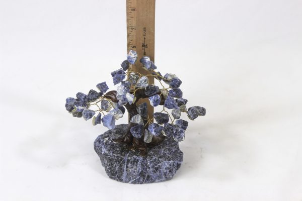 Medium Sodalite Gemstone Tree with ruler for size comparison