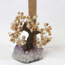 Large Citrine Gemstone Tree with Amethyst Base