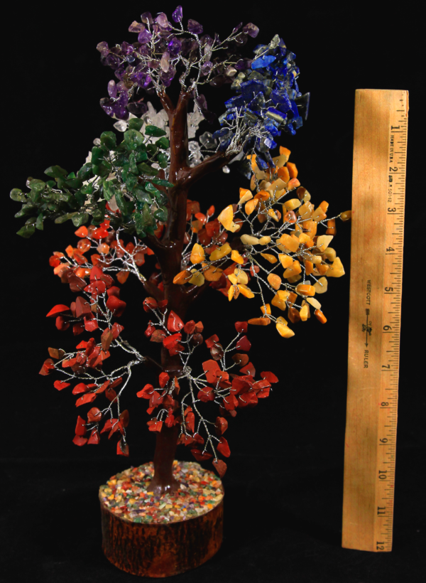 700 Chip Mixed Stone Tree with ruler
