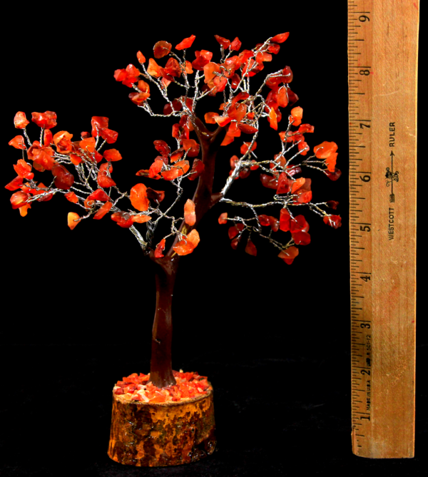 Red Carnelian 160 Chip Gemstone Tree with ruler
