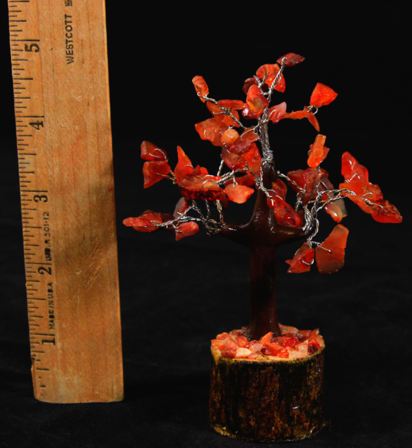 Red Carnelian 60 Chip Gemstone Tree with ruler