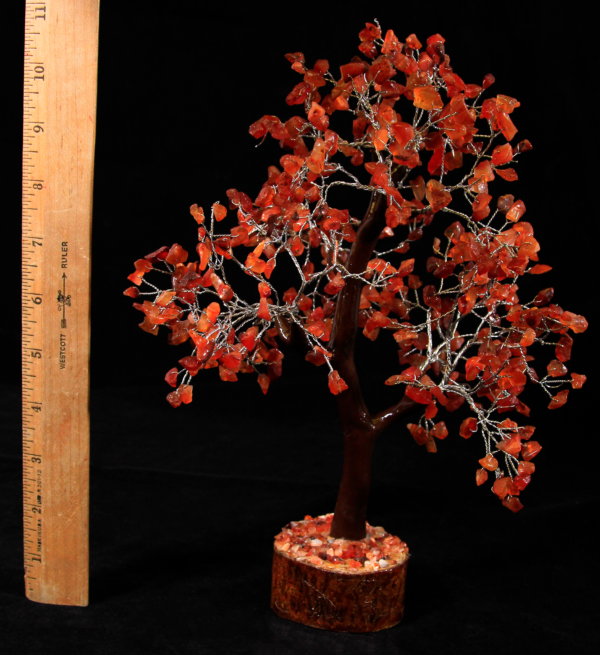 500 Chip Red Carnelian Tree with ruler