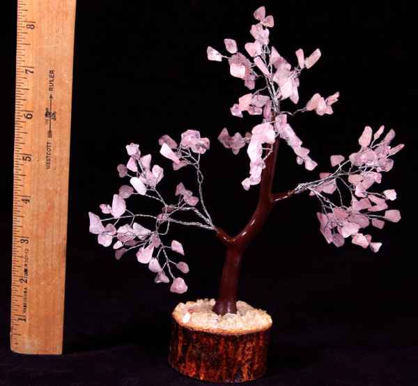 Rose Quartz 160 Chip Tree with ruler
