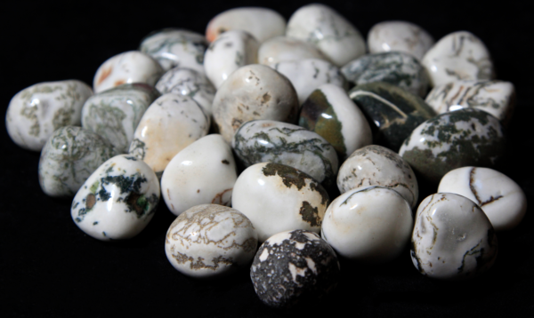Pile of Small Tumbled Tree Agate