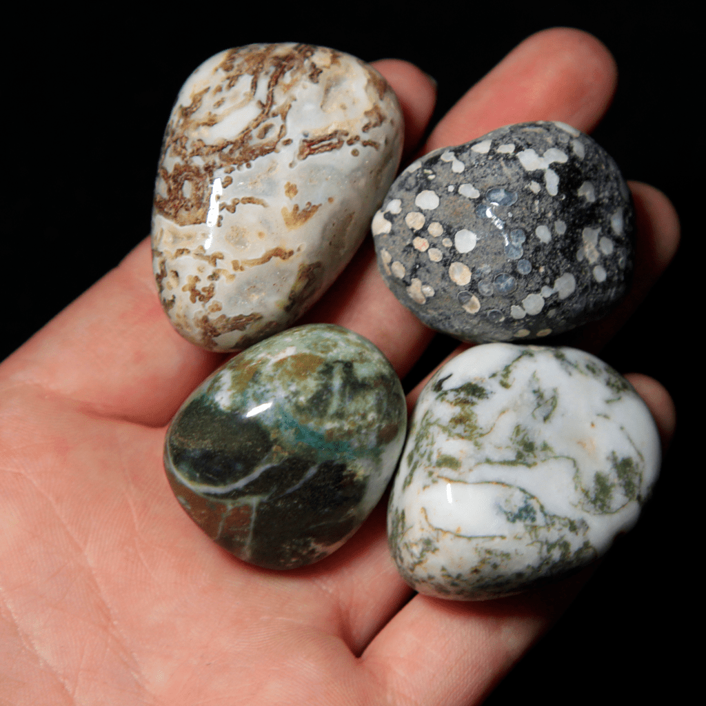 1lb of Medium Tumbled Tree Agate (26mm-32mm) - Kids Love Rocks